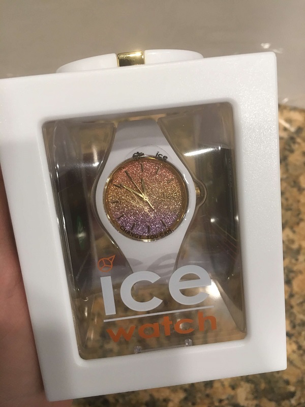 icewatch-review3